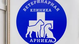 Ветеринарная клиника Арника изображение 2
