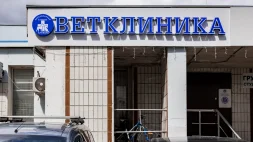 Ветеринарная клиника Арника изображение 13