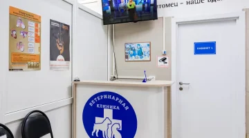 Ветеринарная клиника Арника изображение 4