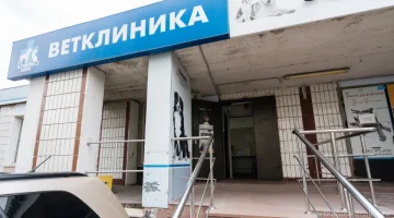 Ветеринарная клиника Арника изображение 8